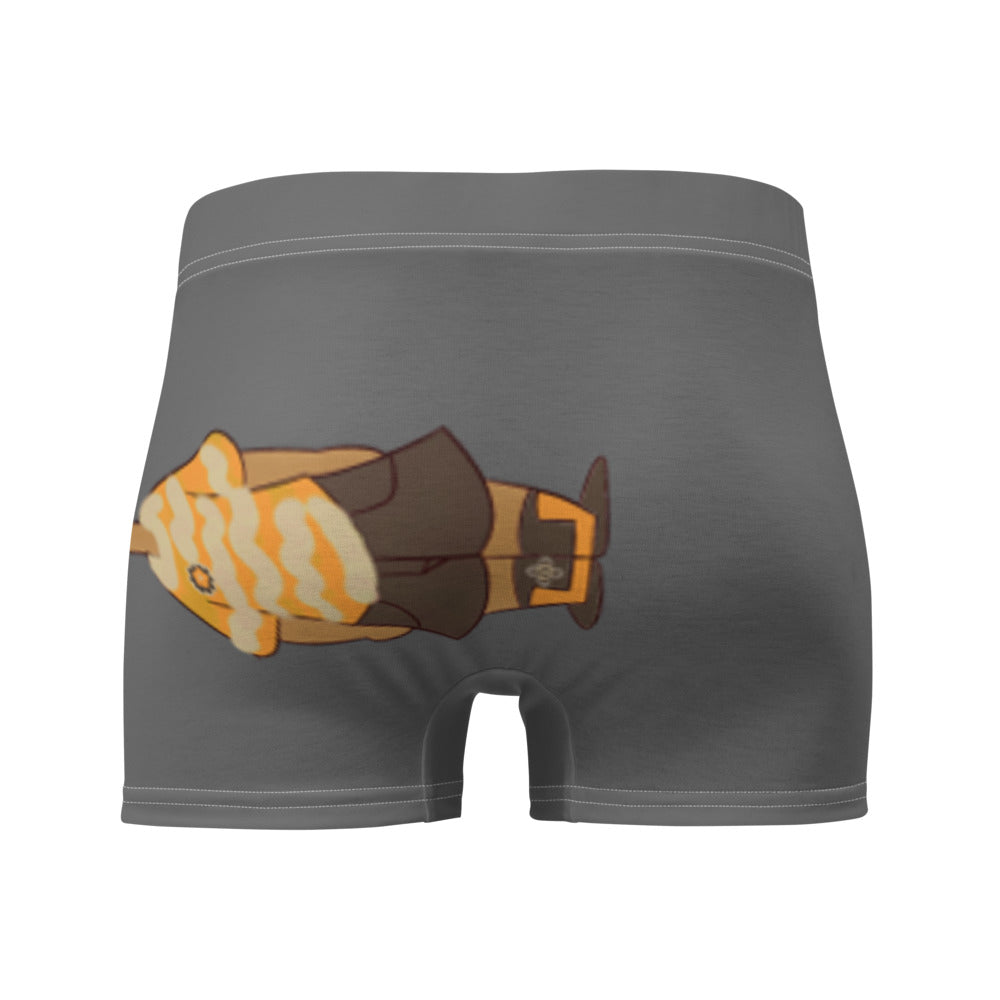 Boxer Briefs