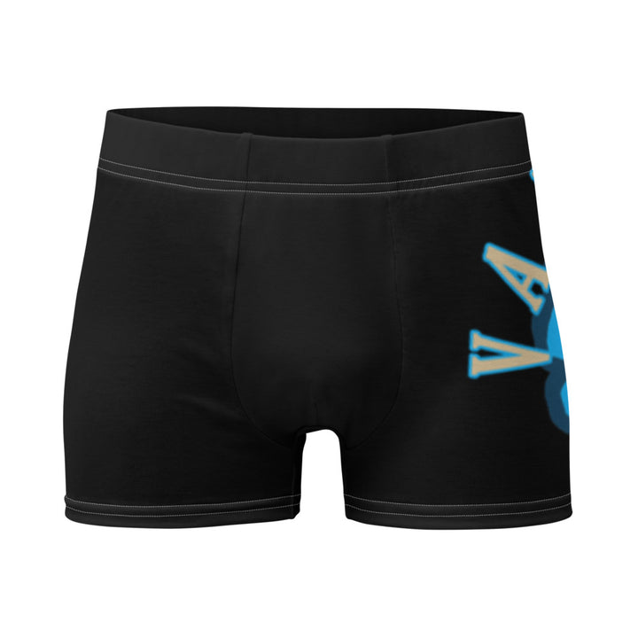 Boxer Briefs