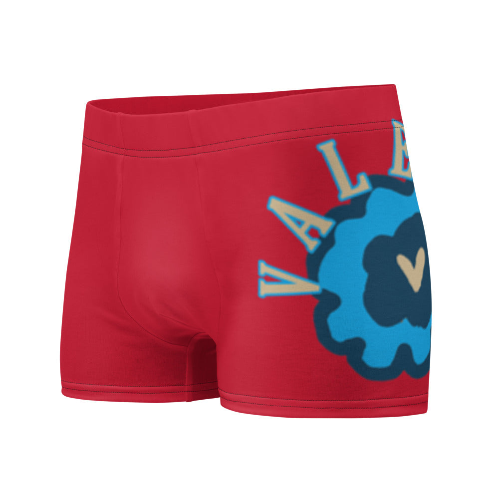 Boxer Briefs