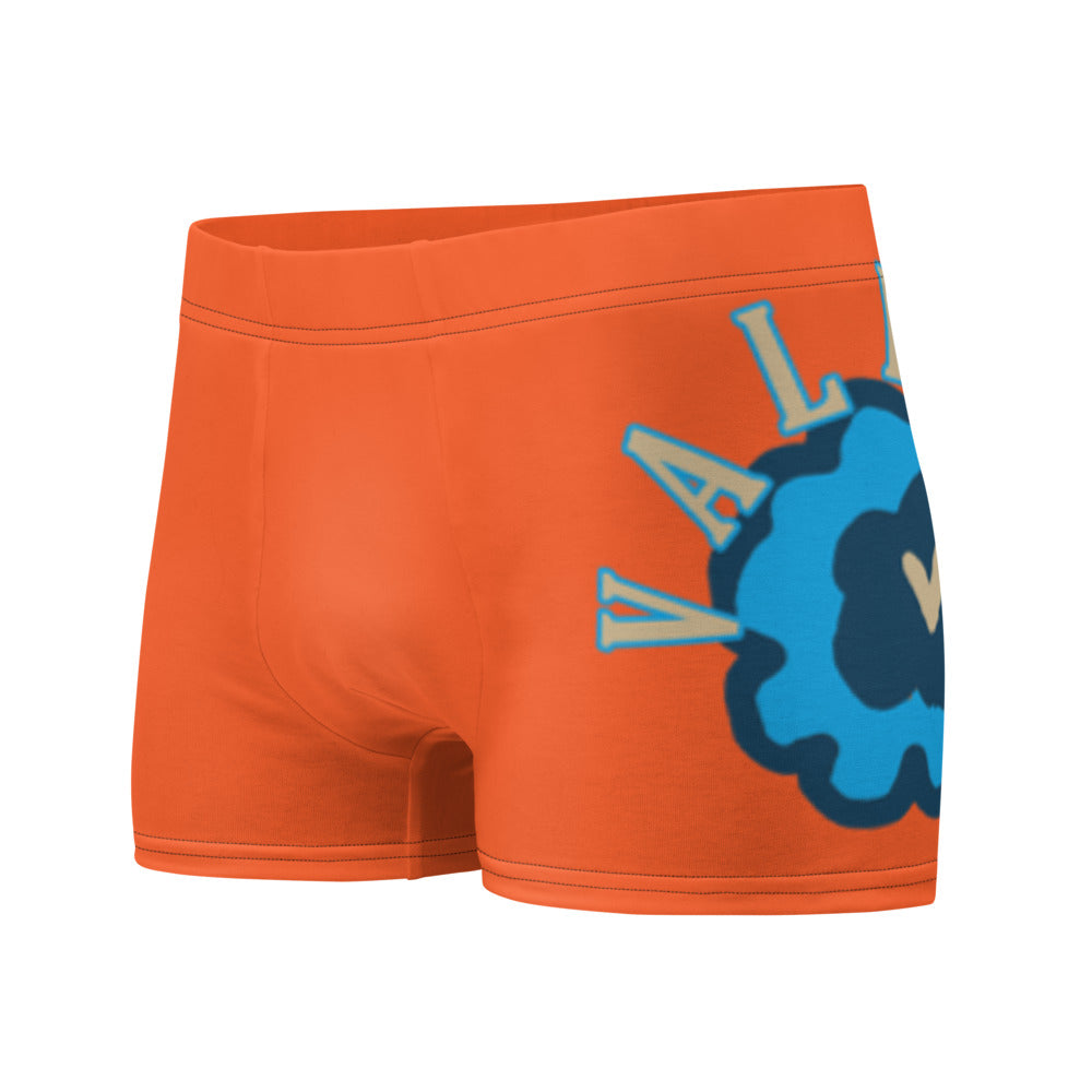 Boxer Briefs
