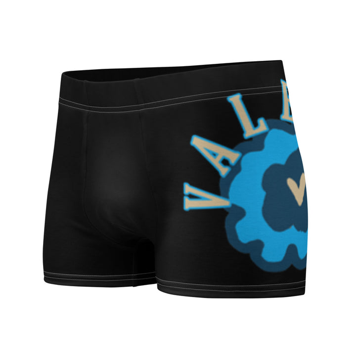 Boxer Briefs