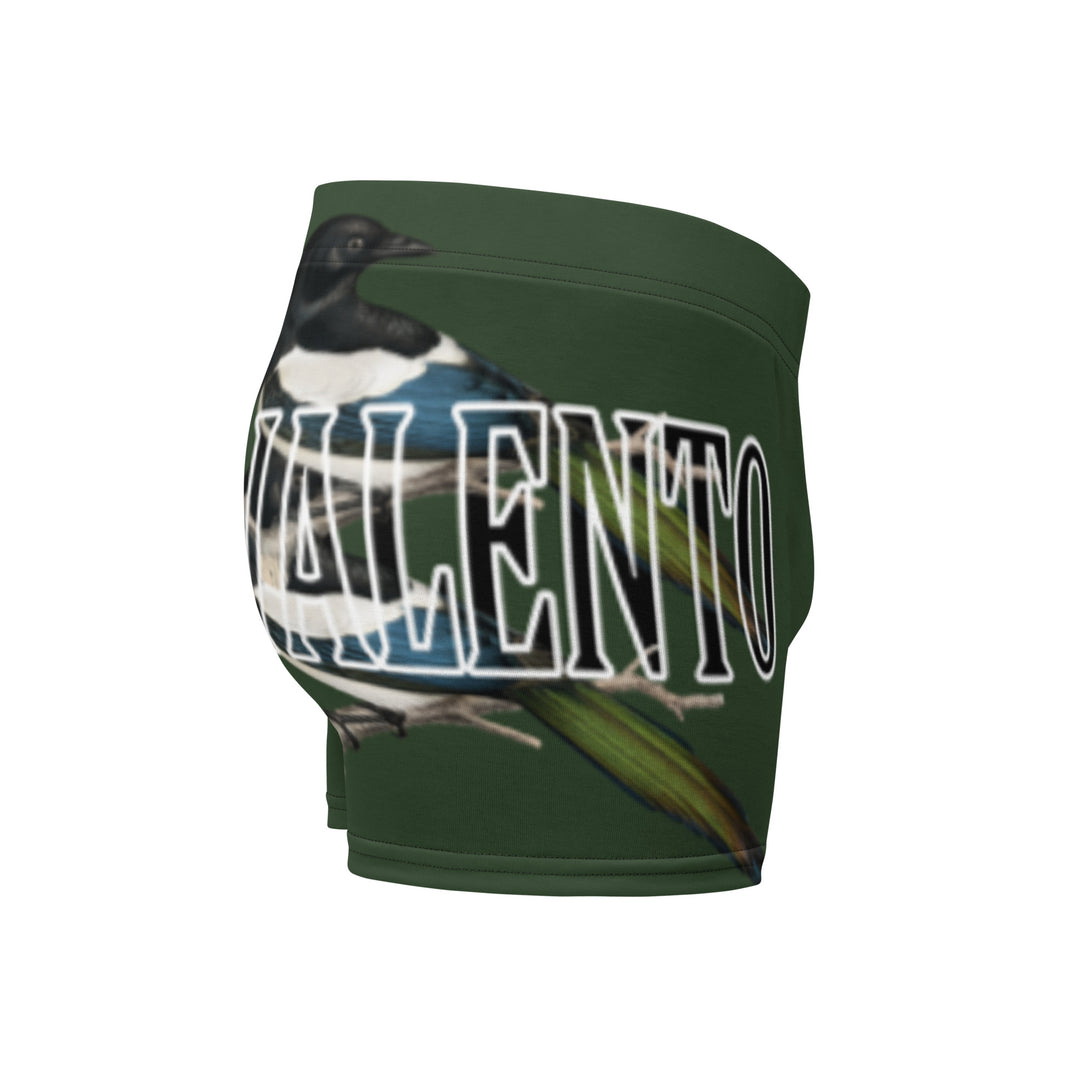 Boxer Briefs