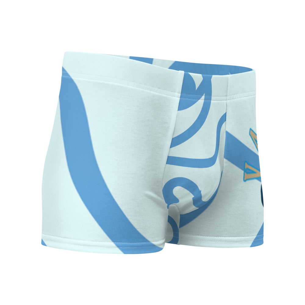 Boxer Briefs