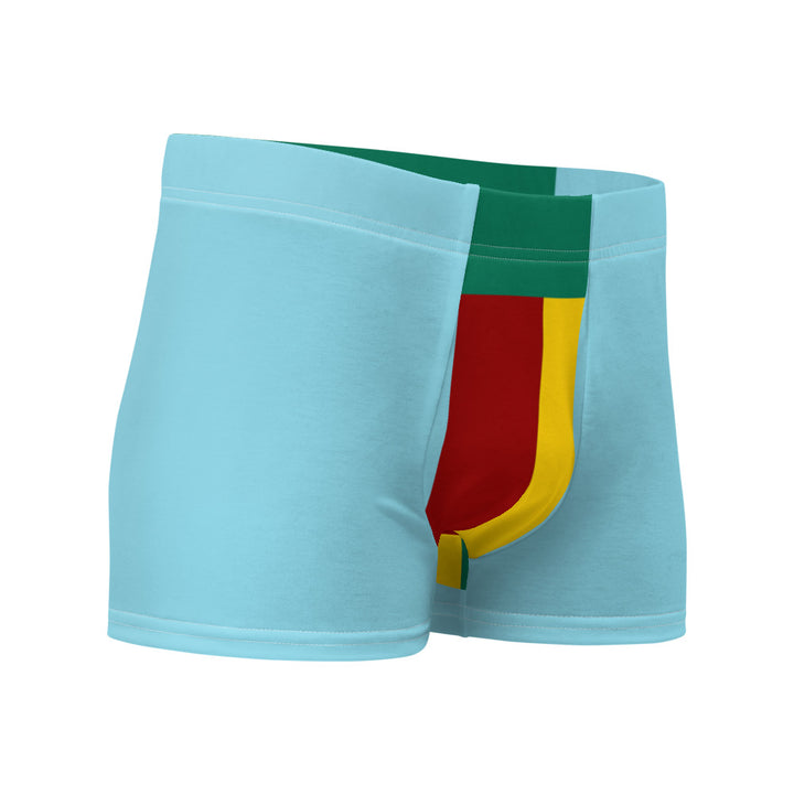 Boxer Briefs