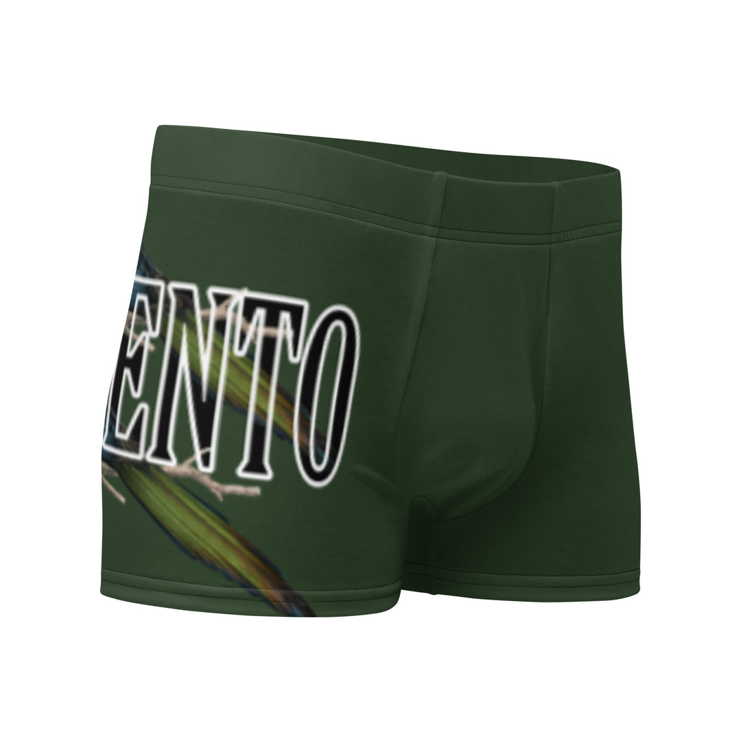 Boxer Briefs