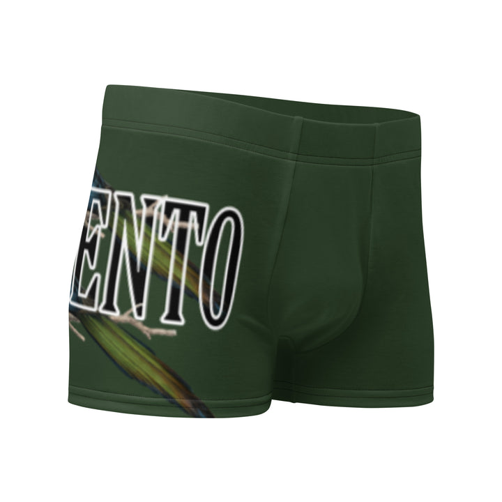 Boxer Briefs