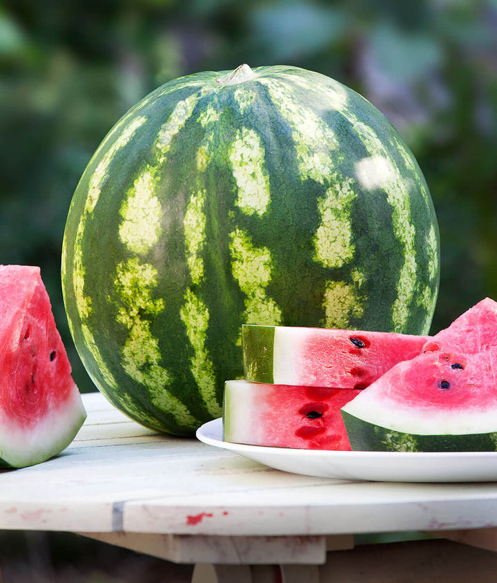 Organic Crimson Sweet watermelon