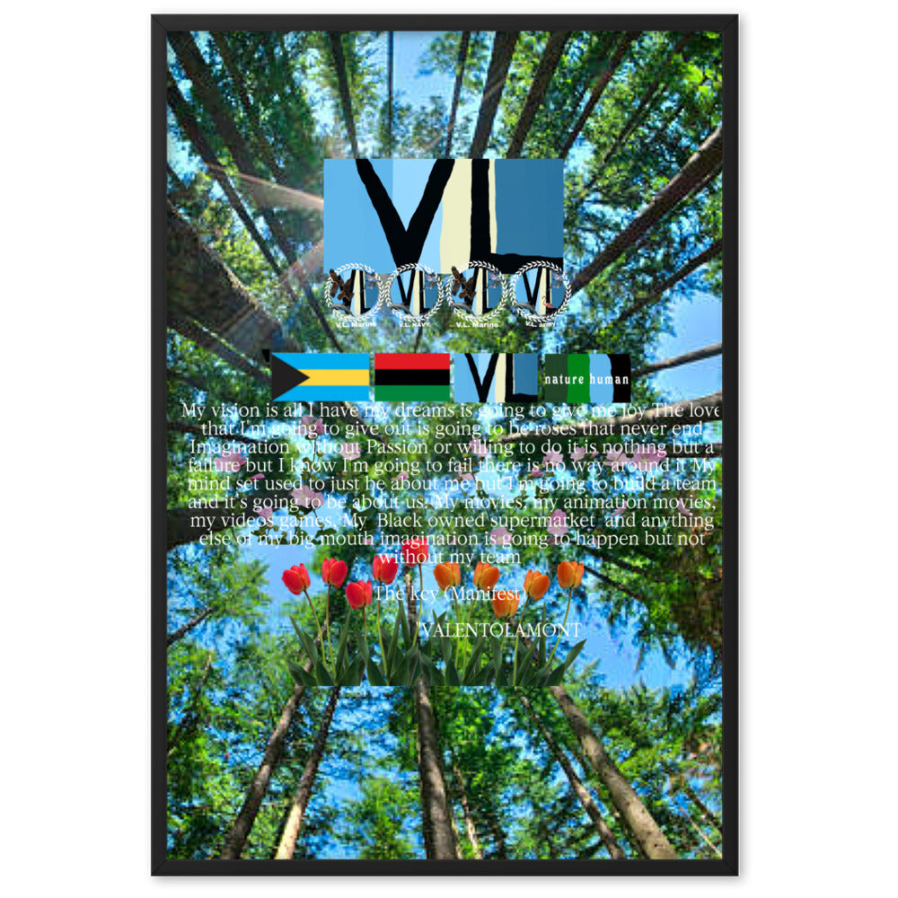 Framed matte paper poster