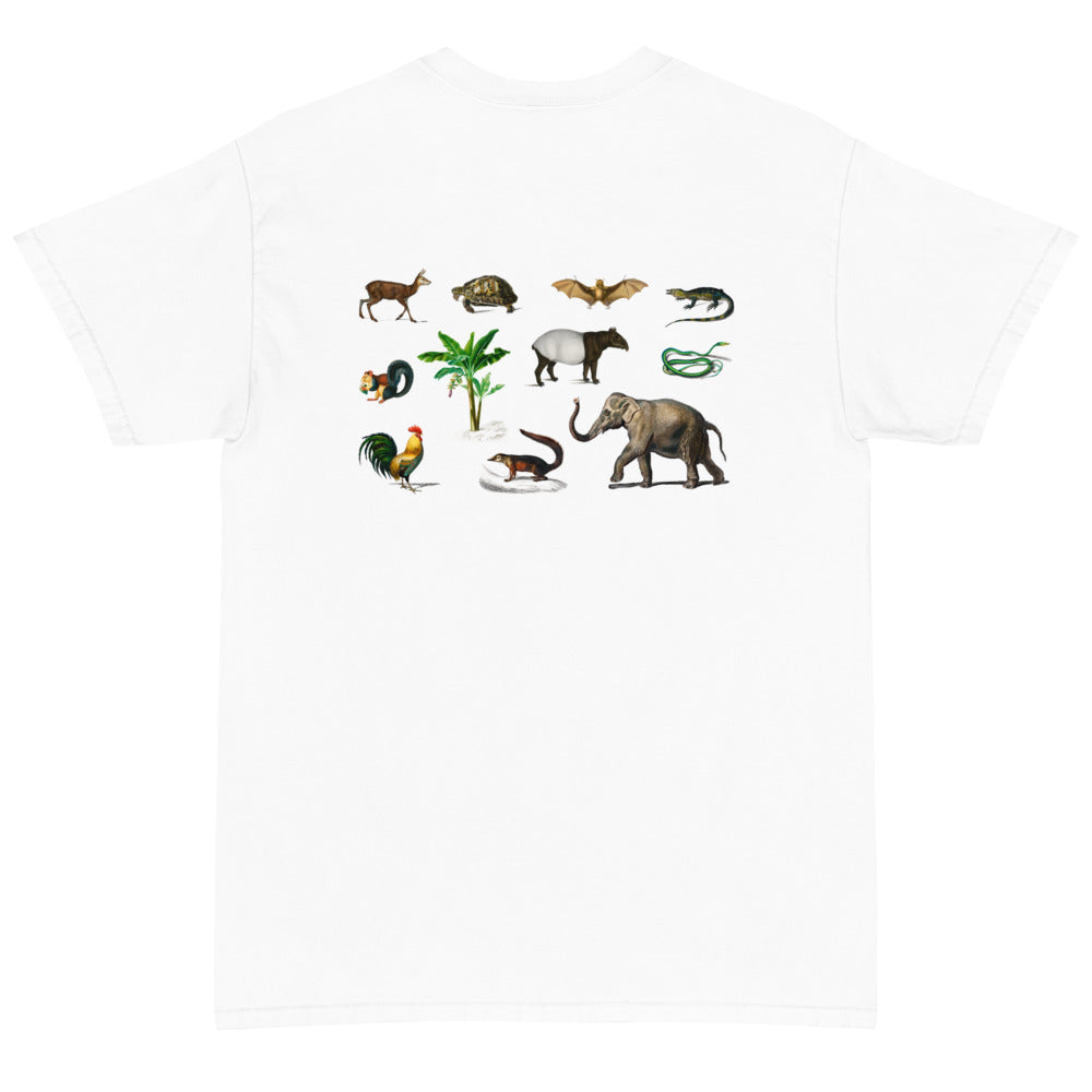 Short Sleeve T-Shirt