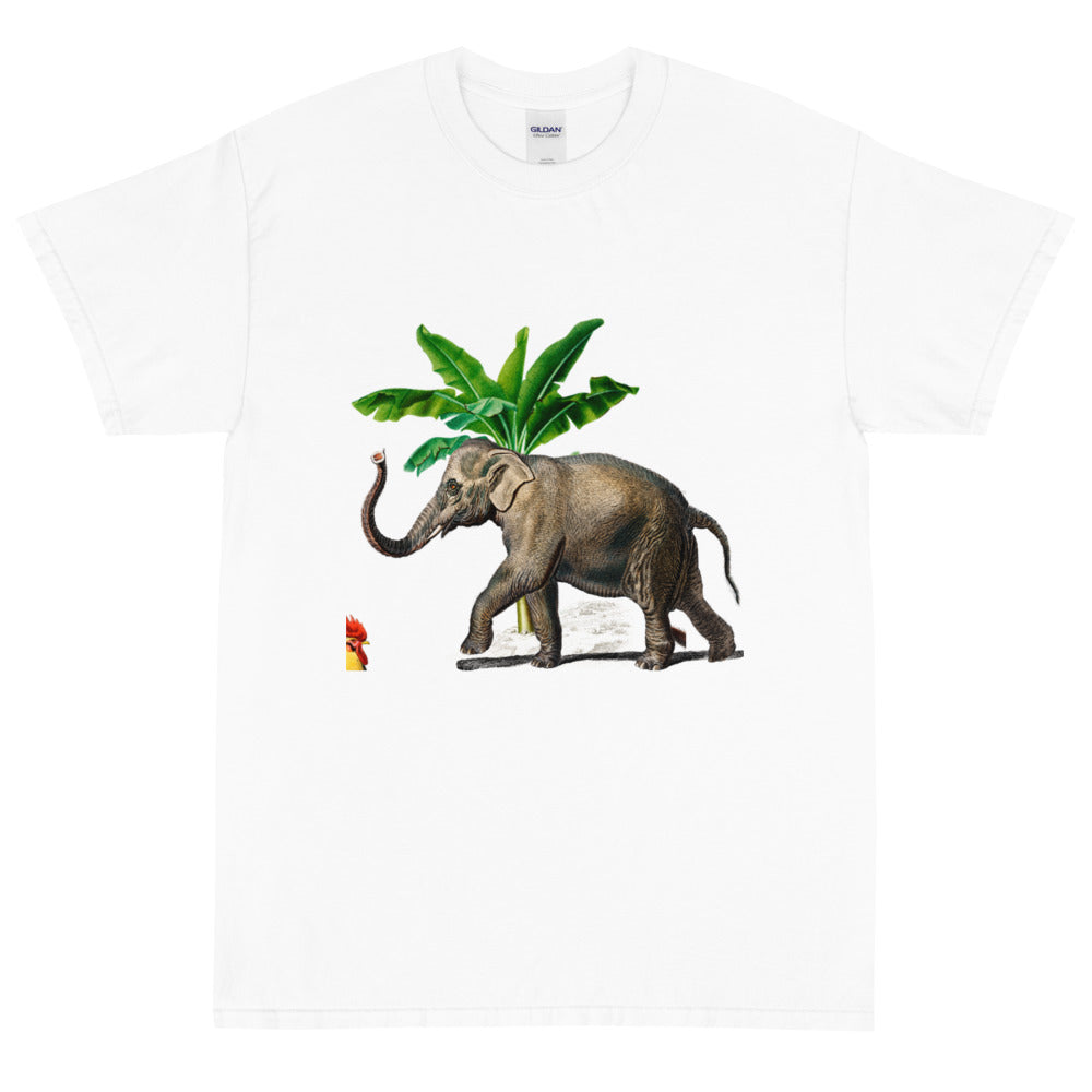 Short Sleeve T-Shirt