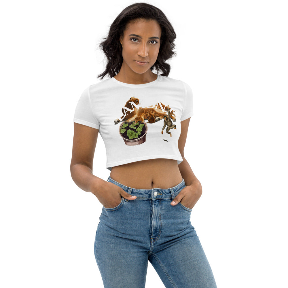 Organic Crop Top