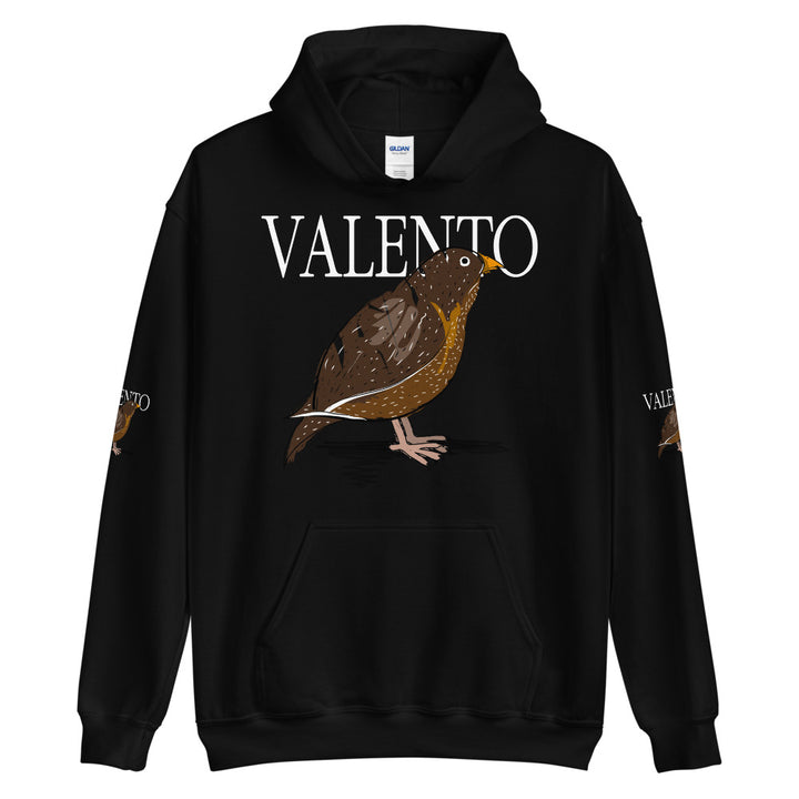 Unisex Hoodie VALENTOLAMONT