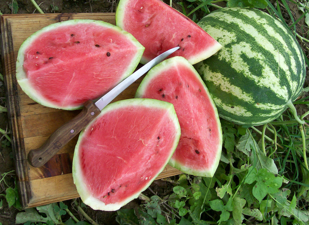 Organic Crimson Sweet watermelon SEEDS